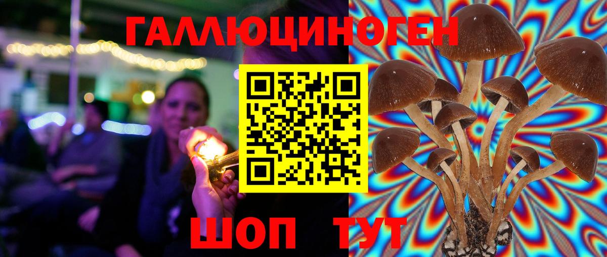 Псилоцибиновые грибы Psilocybe Павлово